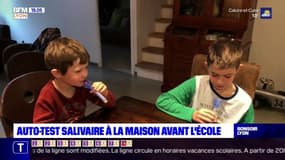 Auto-test salivaire à la maison avant l'école