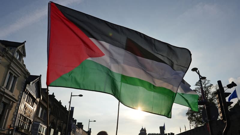 Les députés britanniques se sont prononcés pour la reconnaissance d'un Etat palestinien. Ici une manifestation à Cardiff, lors du sommet de l'OTAN en septembre 2014.