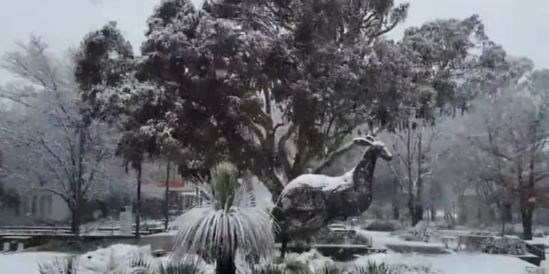 De la neige recouvre le campus d'une université en Australie, le 4 août 2025.