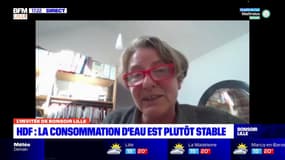 Consommation d'eau: la directrice adjointe de la DREAL Hauts-de-France assure qu'il "faut rester prudent" malgré l'été maussade