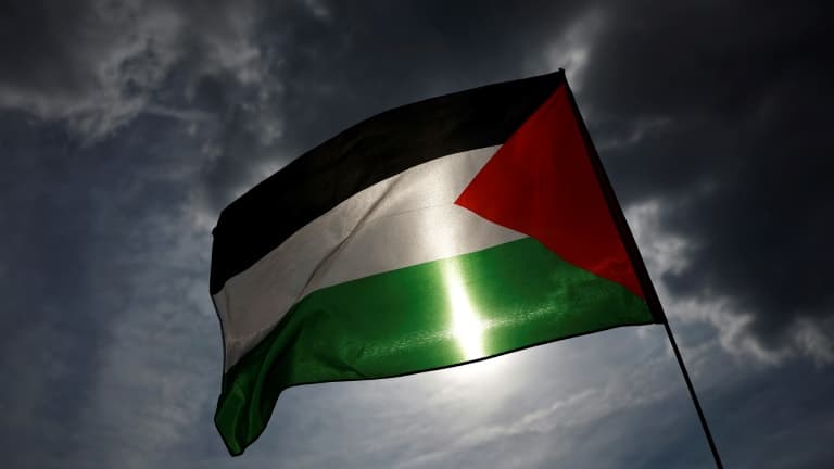 Le drapeau palestinien lors d'une manifestation à Paris, le 8 juin 2025.