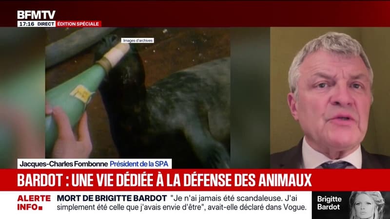 "Brigitte Bardot a pris tous les risques, le risque de détruire son image, pour la protection animale", déclare Jacques-Charles Fombonne, président de la SPA