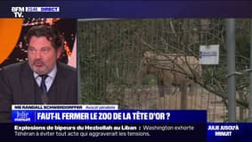 LA BANDE PREND LE POUVOIR - Des militants pour la protection animale veulent la fermeture du zoo de la Tête d'Or à Lyon