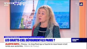 Paris: la présidente SOS paris estime que "les tours ne sont jamais écologiques"