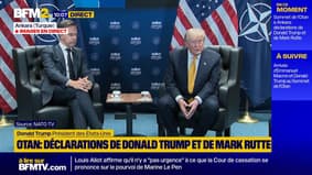 Donald Trump "mécontent de l'Otan", en raison du Groenland et de l'Iran