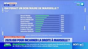 Municipales 2026: qui pour incarner la droite à Marseille?