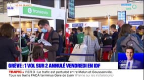 Ile-de-France: un vol sur deux annulé vendredi en raison d'une grève