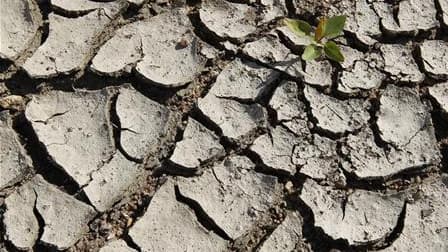 Selon le nouveau bilan du ministère de l'Ecologie, 46 des 96 départements de métropole sont désormais concernés par des mesures restreignant certains usages de l'eau en raison de la sécheresse constatée en France (contre 42 départements samedi). /Photo pr