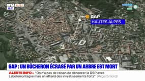 Gap: un bûcheron mort après avoir été écrasé par un arbre