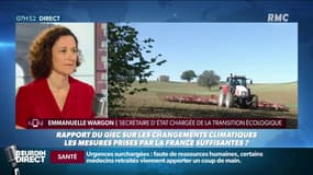 Dépendances de députés vandalisées : "la tension ne justifie pas les violences"  - E.Wargon