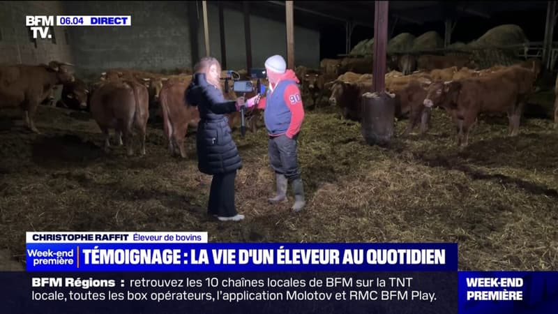 Christophe Raffit est éleveur de bovin. Il témoigne au micro de BFMTV