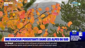 La douceur persiste dans les Alpes du Sud