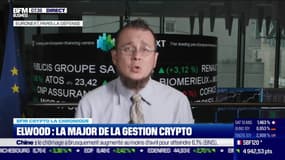 BFM Crypto: Elwood, la major de la gestion crypto - 16/05