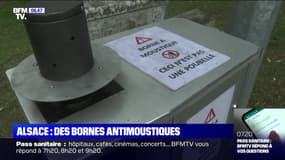 En Alsace, La Wantzenau installe des bornes antimoustiques pour contrer ces insectes