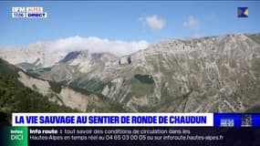 C beau chez nous: le sentier de ronde de Chaudun et sa belle vie sauvage