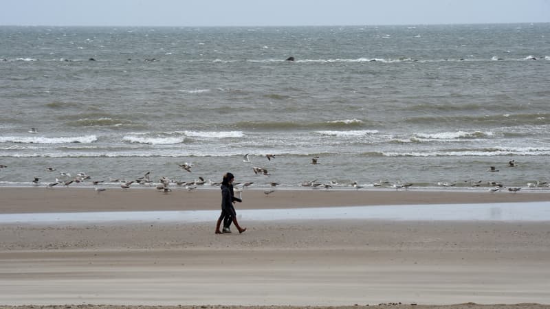 Des passants sur la plage de Dunkerque.