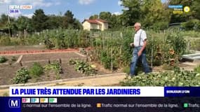 Sécheresse: la pluie très attendue par les jardiniers