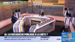 IA : la recherche à la diète ? 