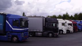 Entre 2.500 et 3.000 camions sont attendus samedi à travers la France en raison de la manifestation des routiers contre l'écotaxe