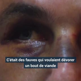 "J'ai vraiment eu peur de mourir." Frappé et séquestré, cet homosexuel raconte ses 2h30 d’agression à Rouen