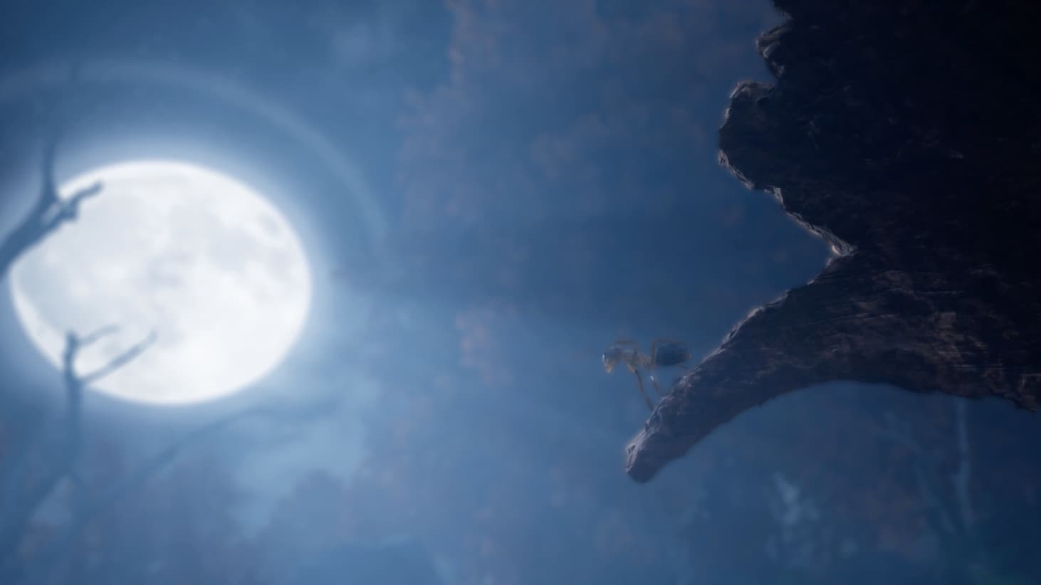 Le moteur graphique Unreal Engine 5 permet de faire tourner le futur jeu vidéo "Les Fourmis"