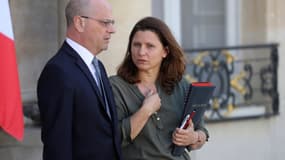Jean-Michel Blanquer et Roxana Maracineanu