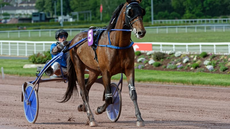 Etonnant s'impose facilement dans le Prix de l'Atlantique