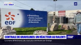 Centrale de Gravelines: un réacteur au ralenti