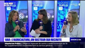 C votre emploi du mercredi 1er mars 2023 - L'agriculture, un secteur qui recrute