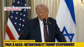 Plan de paix à Gaza: Donald Trump déclare que son plan "mettra une fin immédiate à la guerre en elle-même pas qu'à Gaza" 