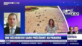Good Evening Business : Partie 1  - 21/08