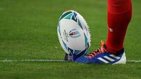 Le "United Rugby Championship" (URC) démarre vendredi, avec quatre clubs sud-africains, irlandais, gallois, écossais et italiens pour des places en Coupe d'Europe