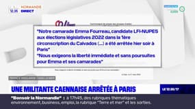 Réforme des retraites: une militante caennaise interpellée à Paris