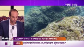 L'exploration des fonds marins annonçait par Macron, les explications de RMC