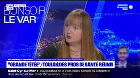 Toulon: des professionnels de la santé réunis pour la "Grande tétée"