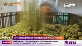 Cannabis thérapeutique : "c'est un renouveau pour moi", témoigne un auditeur