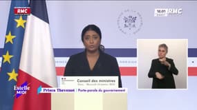 Colère des agriculteurs: le gouvernement assure "tout faire pour calmer la colère"