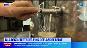 À la découverte des vins de Flandre belge