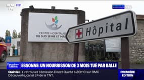 Nourrisson tué par balles en Essonne: la mère grièvement blessée et deux personnes, dont le père de l'enfant, placées en garde à vue