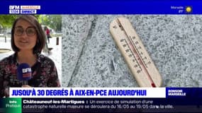 Fortes chaleurs: jusqu'à 30 degrés enregistrés ce mercredi à Aix-en-Provence
