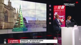 "Froid et inerte", "plutôt beau": à Bordeaux, le nouveau sapin municipal fait (encore) débat