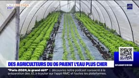 Alpes-Maritimes: des agriculteurs dénoncent une facture d'eau plus élevée