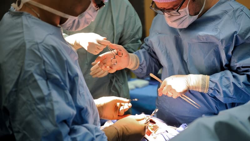 La société Gecko Biomédical a installé son unité de recherche au coeur d’un hôpital publique réputé : la Pitié Salpétrière. Son produit, une super glue chirurgicale, permet de suturer des plaies internes même sanguinolentes.