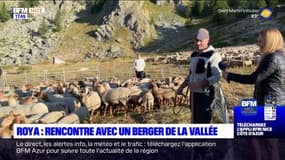 L'été chez nous: rencontre avec un berger de la vallée de la Roya