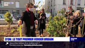 Un tout premier verger urbain inauguré à Lyon