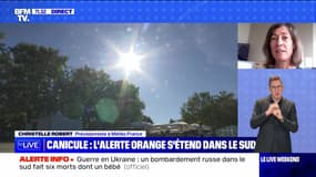 Canicule : à quoi faut-il s'attendre ? - 13/08