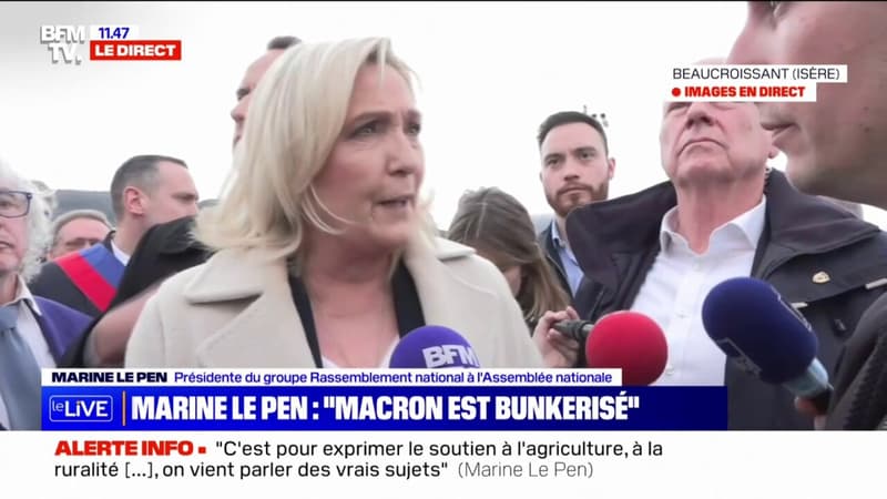 Pour Marine Le Pen, la démocratie française 