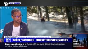 Incendies: "Il faut revoir les politiques publiques d'évacuation des territoires", affirme Gaël Musquet, spécialiste en prévention des catastrophes naturelles