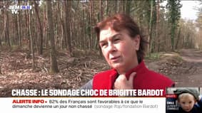 62% des Français déclarent ne pas se sentir "en sécurité" en période de chasse, selon un sondage commandé par la Fondation Brigitte Bardot