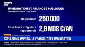 Selon l'ONG France Terre d'asile, régulariser 250.000 travailleurs irréguliers rapporterait près de 3 milliards d'euros à la France